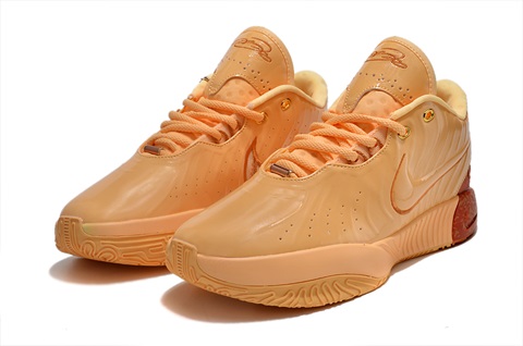 women james 21 shoes 2023-11-8-003